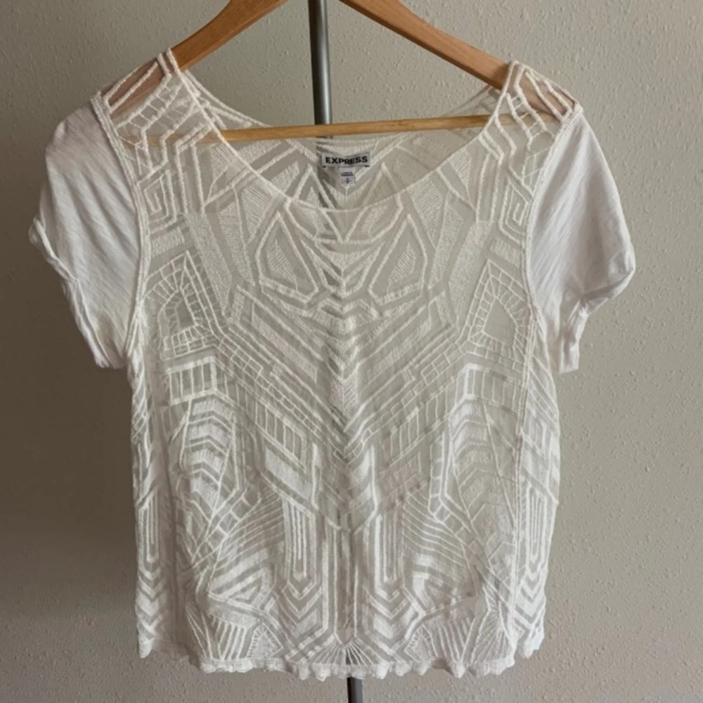 Express lace embroidered top